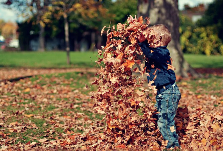 6 surprising reasons why play is important for your Child's Development