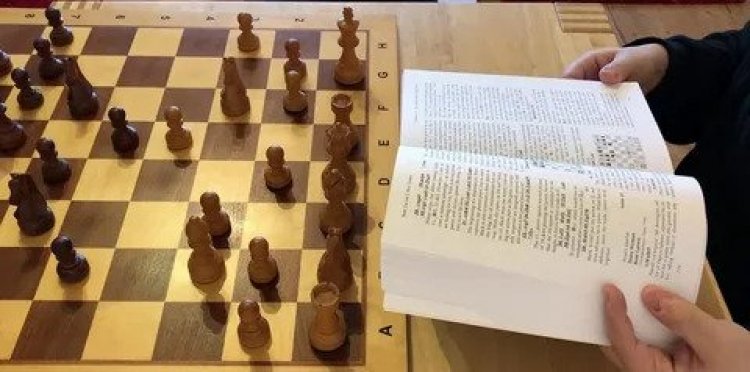 Chess Lessons for Beginners Strategies and Tips